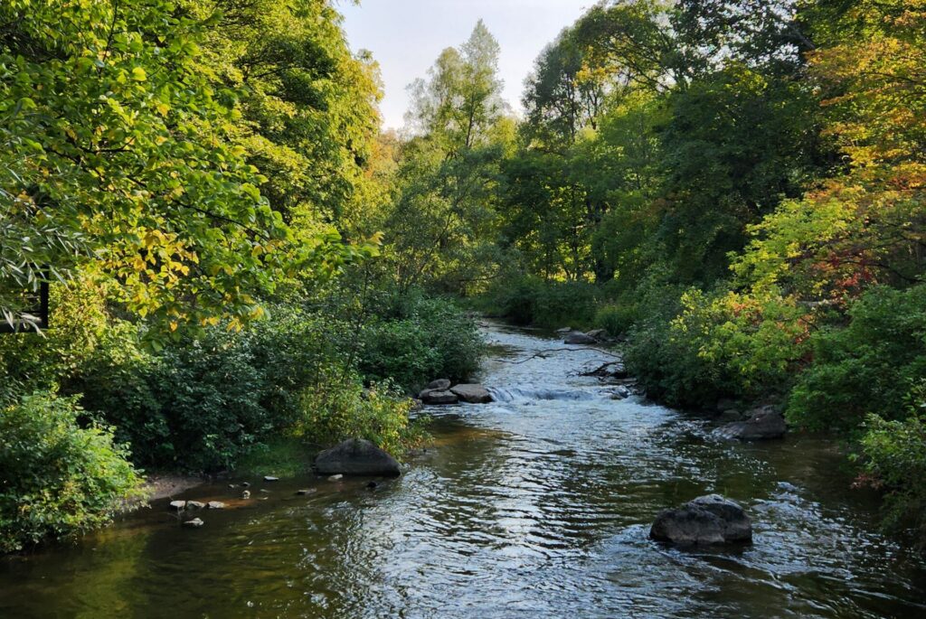 Freshwater Future Weekly: September 11, 2026