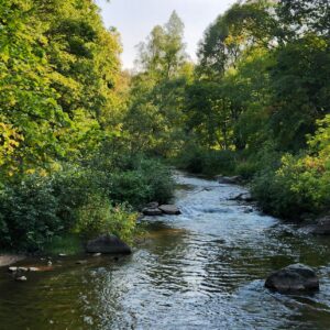 Freshwater Future Weekly: September 11, 2026