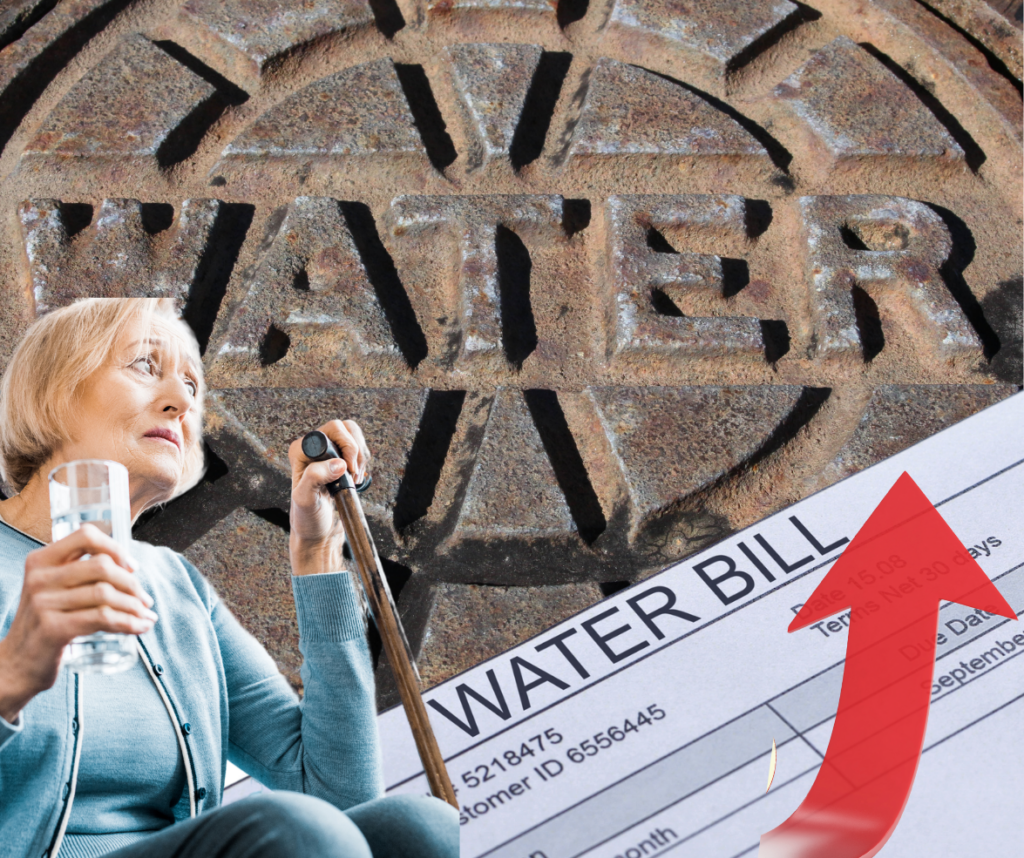 What is water privatization