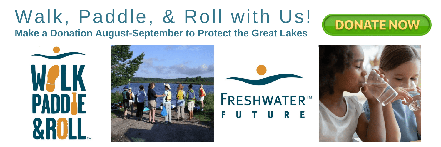 fundraising campaign to protect the great lakes freshwater