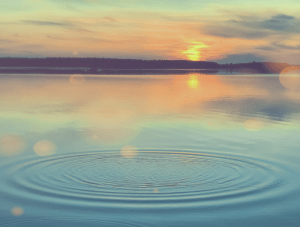 Freshwater Future Weekly: June 20, 2025