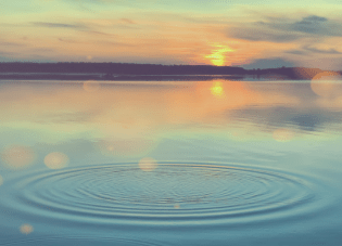 Freshwater Future Weekly: June 20, 2025