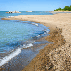 Freshwater Future Weekly: June 12, 2026