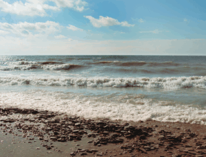 Freshwater Future Weekly: August 22, 2025