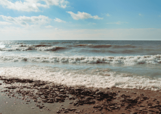 Freshwater Future Weekly: August 22, 2025