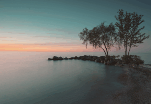 Freshwater Future Weekly: August 29, 2025