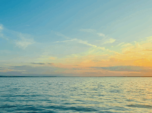 Freshwater Future Weekly: October 31, 2025