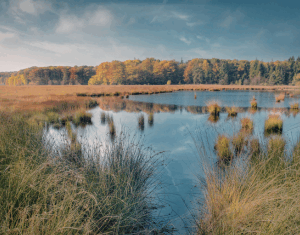 Freshwater Future Weekly: October 24, 2025