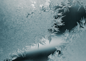 Freshwater Future Weekly: January 9, 2026