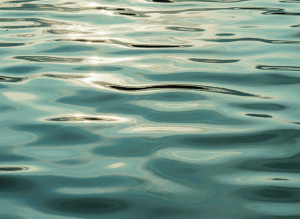 Freshwater Future Weekly: January 23, 2026