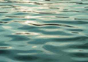 Freshwater Future Weekly: January 23, 2026