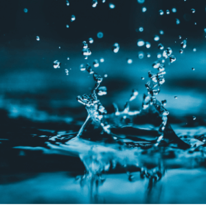 Freshwater Future Weekly: April 3, 2026