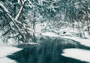 Freshwater Future Weekly: February 27, 2026