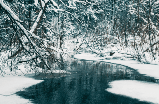 Freshwater Future Weekly: February 27, 2026