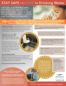 Stay Safe from Lead Factsheet Copyright