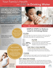 Your Family's Health and Lead Factsheet Copyright